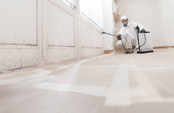 24/7 Emergency Mold Remediation experts in Castleton, VA